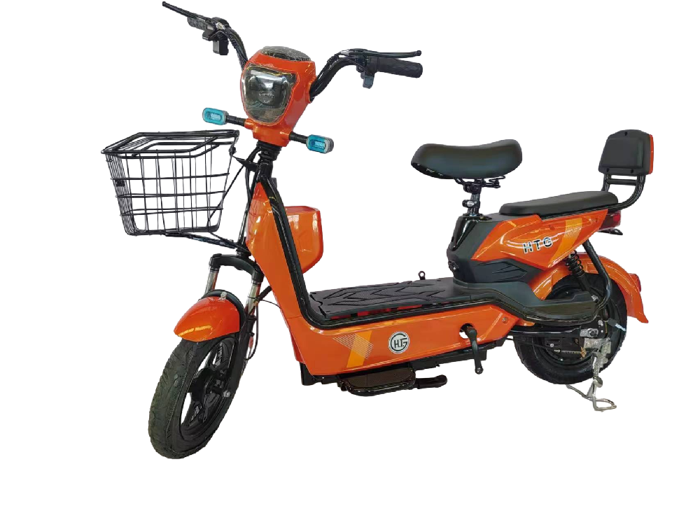 Electric Hybrid Bike